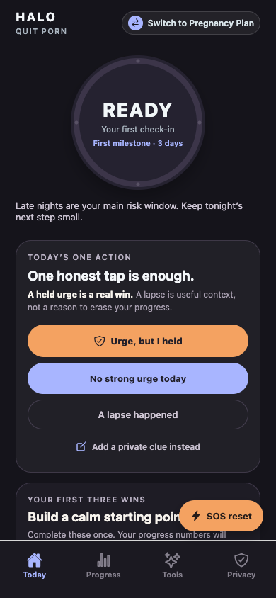 Virise first-day plan screen